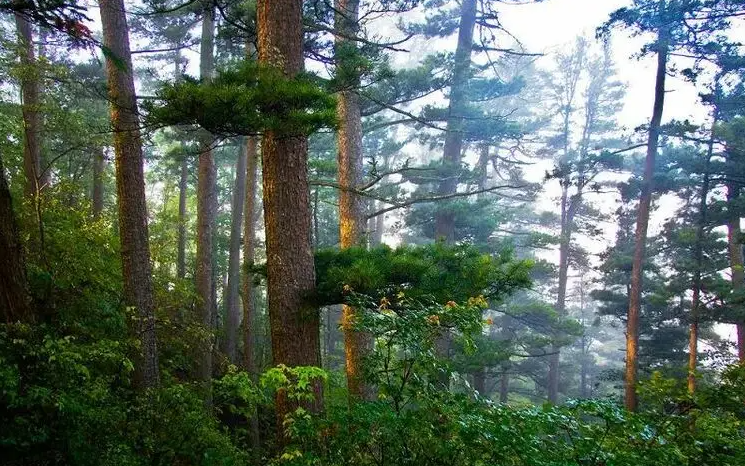 漠河北极村